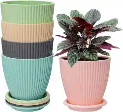 PSA Plastic Round Flower Pots for Home Planters 5 pcs set