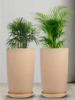 Kuber Industries Marble Emerald Beige 2 Pieces Lightweight Planter with Tray