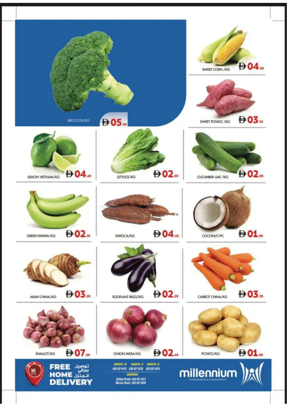 Daily Grocery Deals & Budget Food Essentials