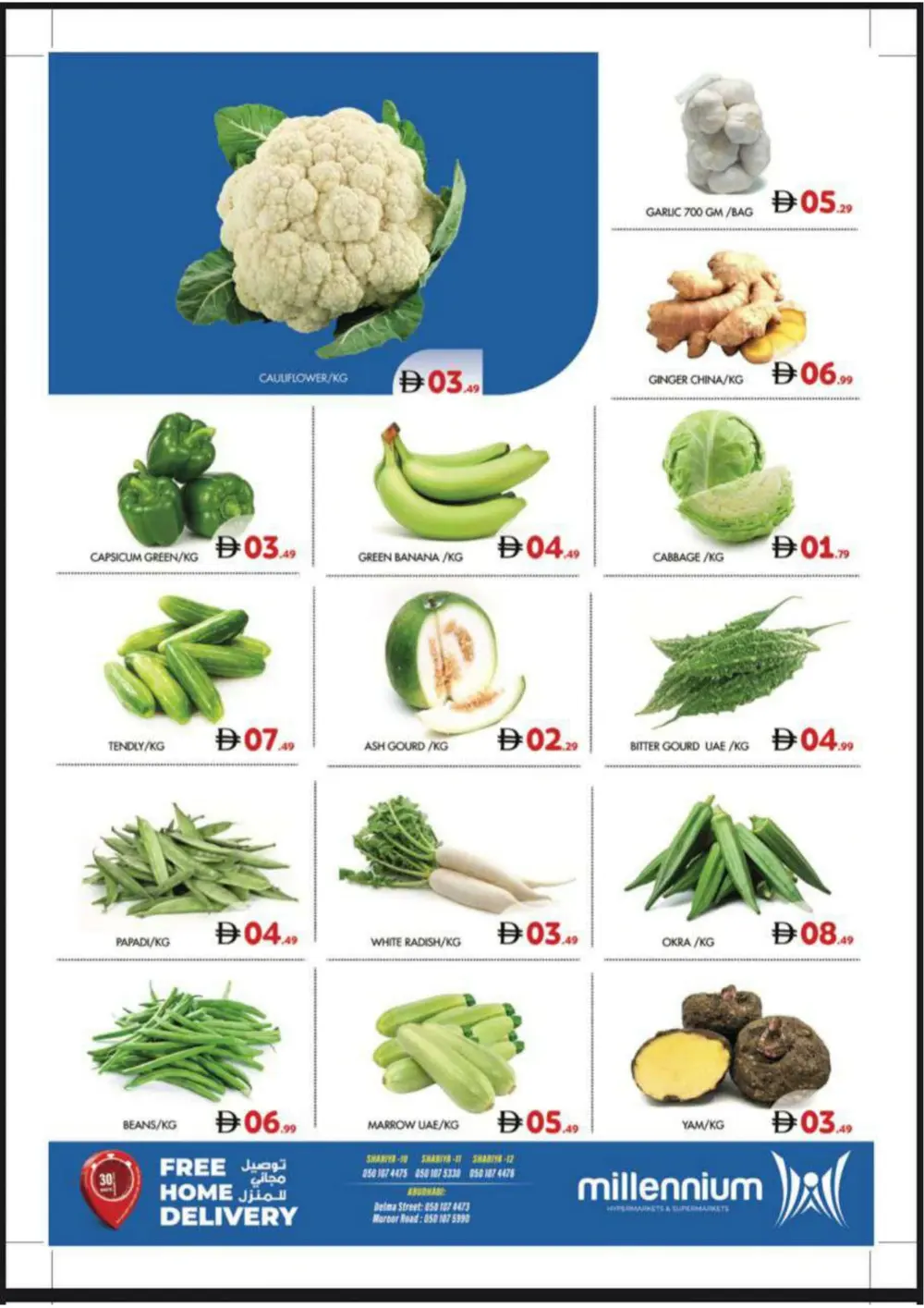 Daily Grocery Deals & Budget Food Essentials