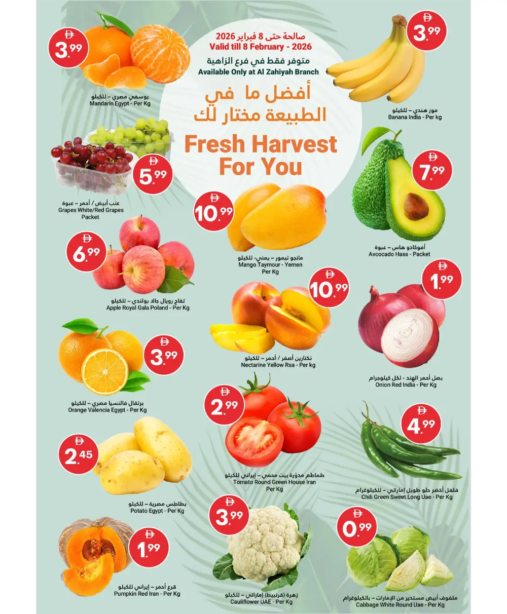 Ramadan Kareem Sale & Grocery Offers