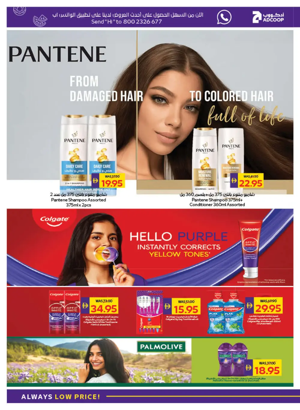 Best Deals on Grocery & Household