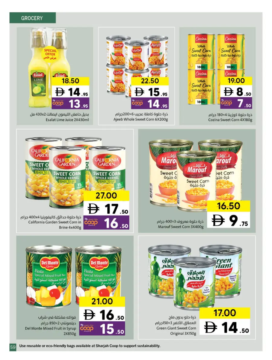 Ramadan Kareem Deals 2026 | Save on Groceries & Electronics