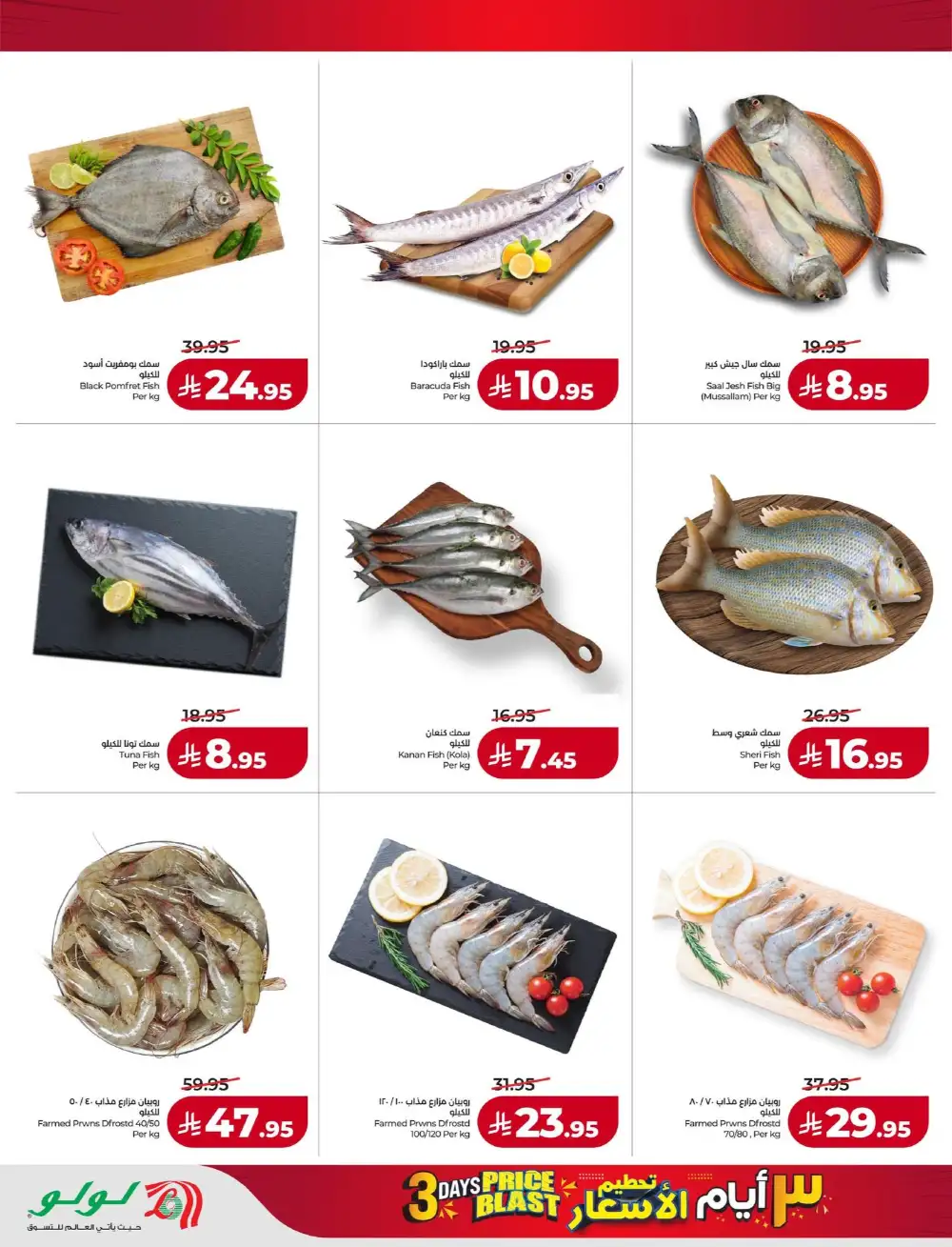 3 Days Price Blast Offers | Feb 22-24, 2026