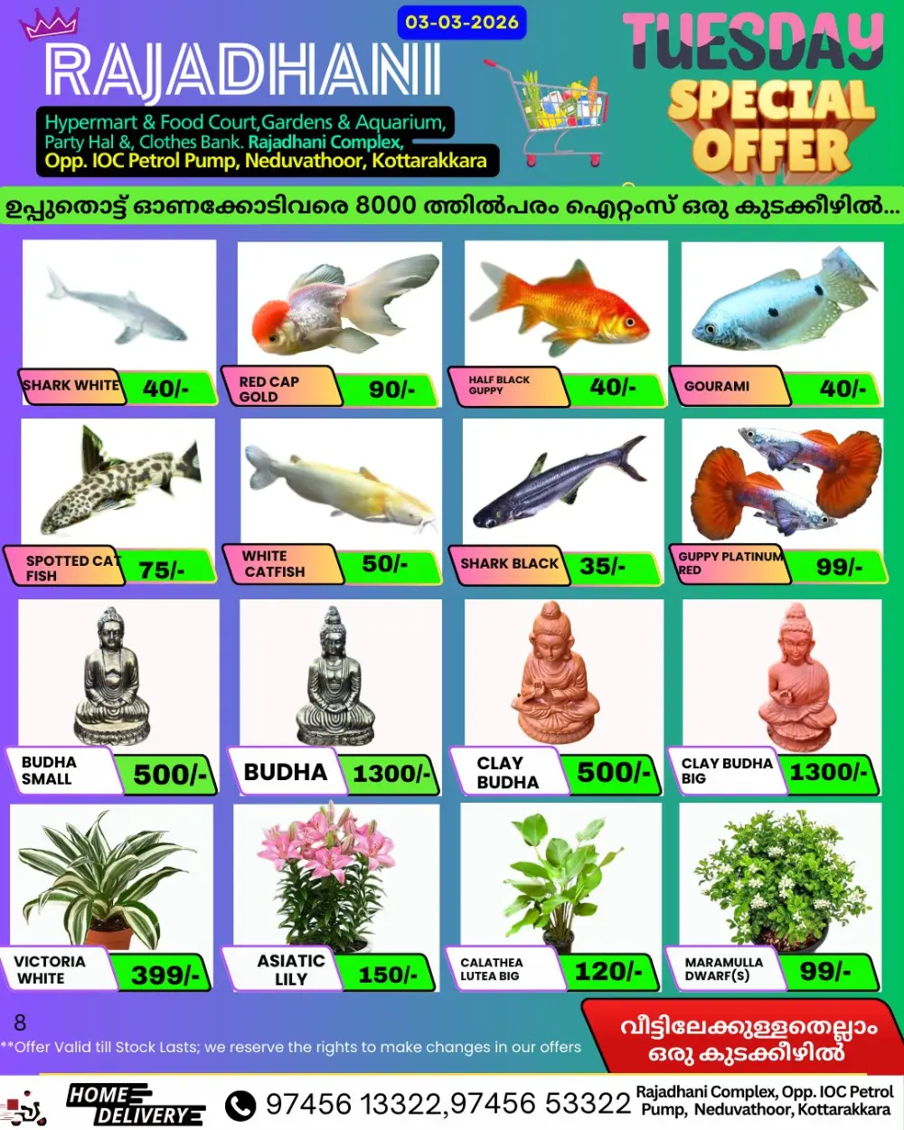 Tuesday offer