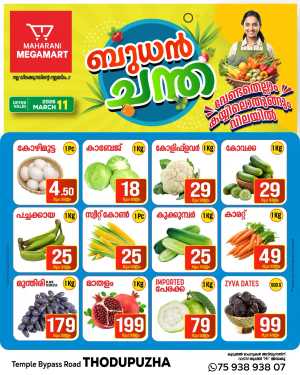 Wednesday sale In Megamart Idukki