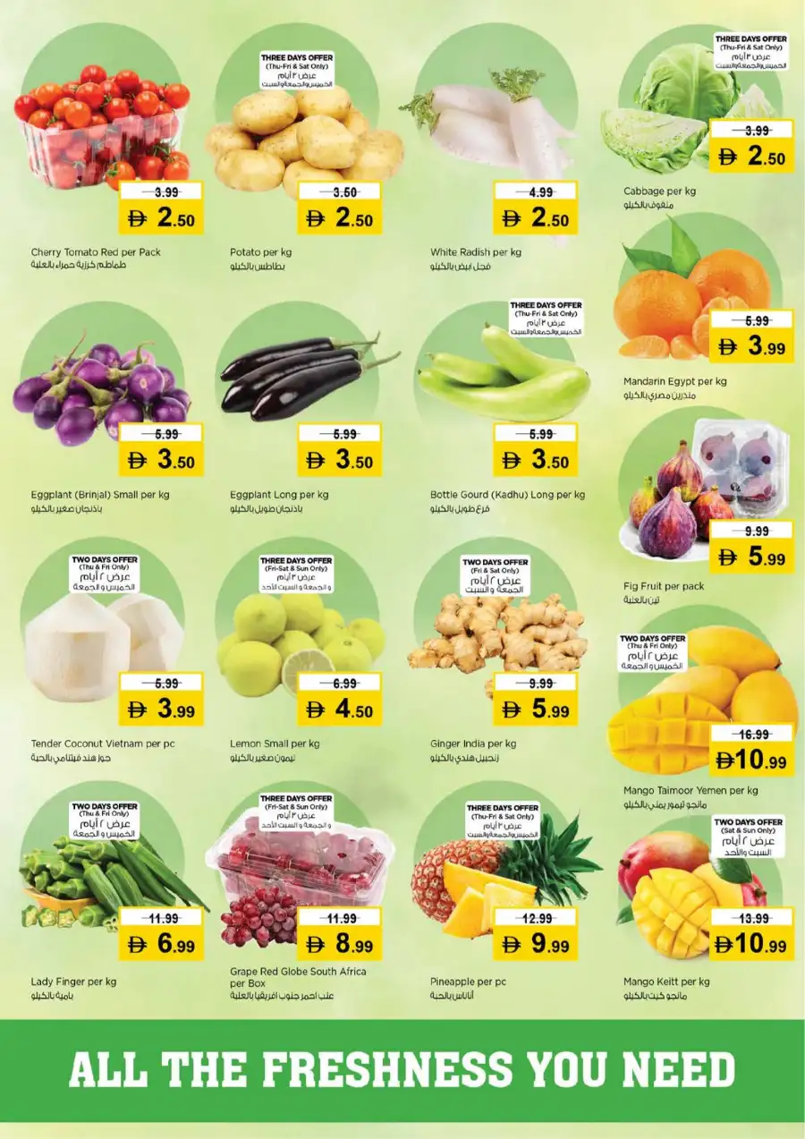 Nesto Musaffah M-26 Half Priced Fiesta