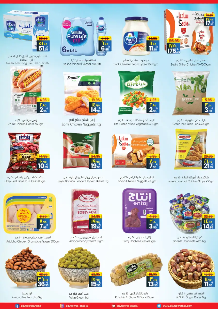 City Flower Najran Best Deals | Ends March 31