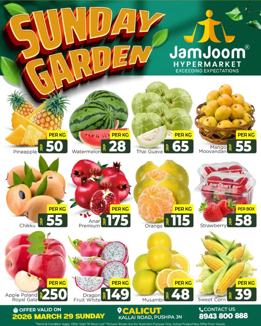 Sunday Garden Deals