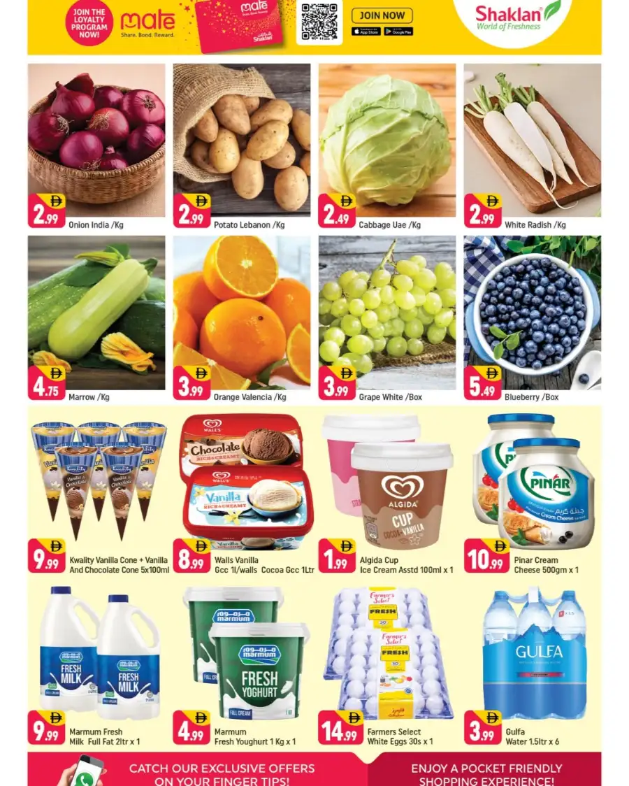 Shaklan Spain Cluster: Sanford Air Fryer & Grocery Deals