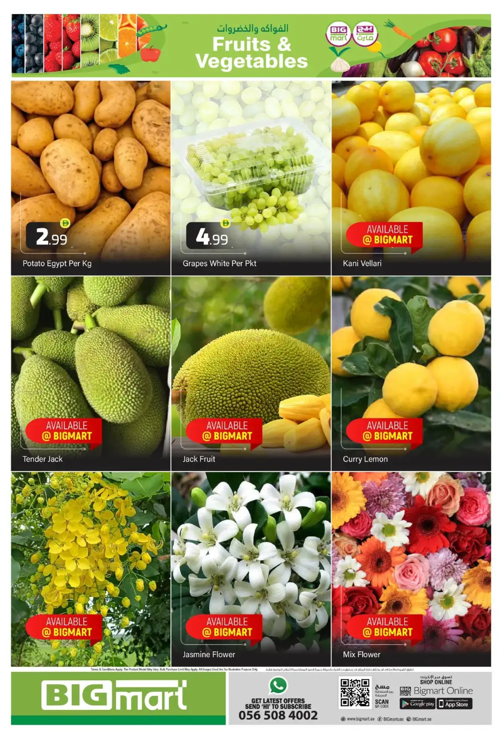 Big Mart Abu Dhabi Happy Vishu Offers