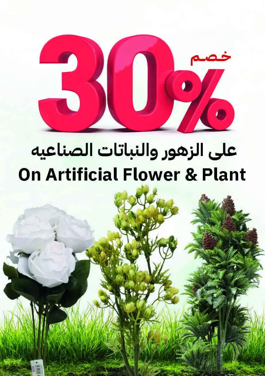 Astra Markets | Spring Deals & Household Offers | Tabuk