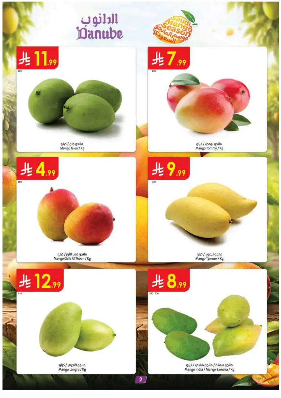 Danube KSA Weekly Offers: Save More! page 2