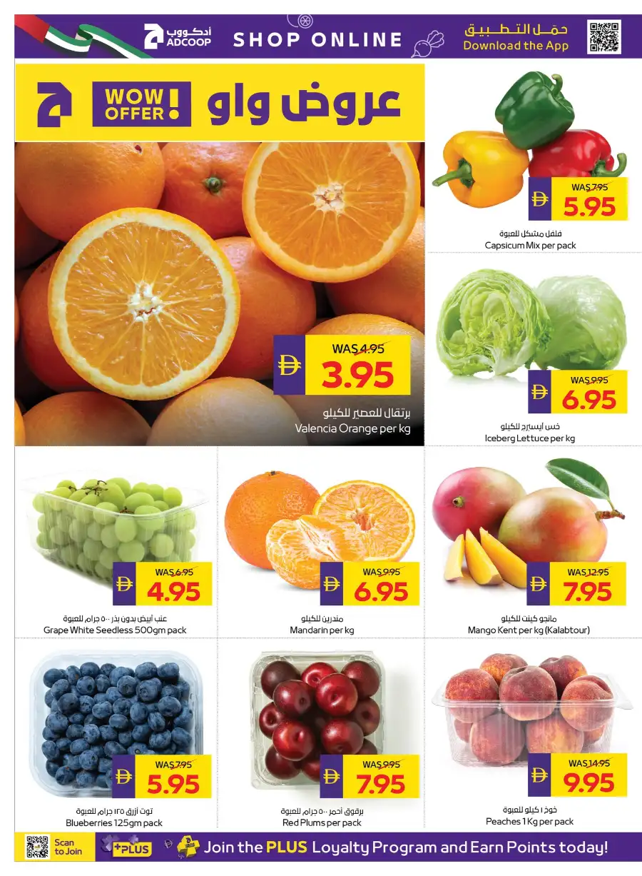 ADCOOP Abu Dhabi Home Cleaning Deals page 5