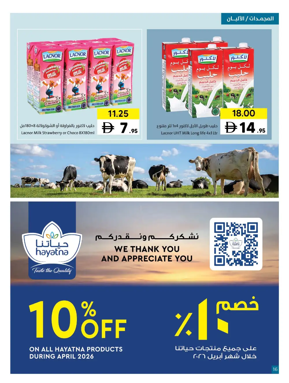 Sharjah Co-op Massive Deals page 16