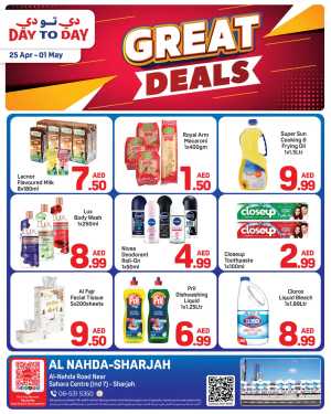 Day To Day Al Nahda Great Deals: Save Now! flyer cover