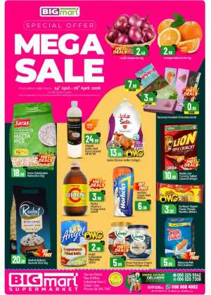 Big Mart Ras Al Khor Mega Sale: April 24-26 flyer cover