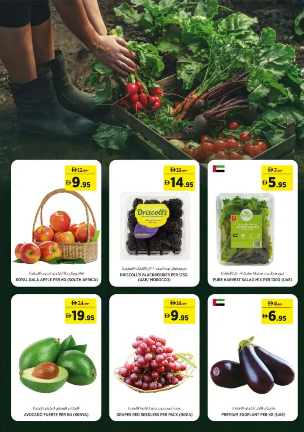 Géant UAE Essentials Smartly Selected Offers page 2