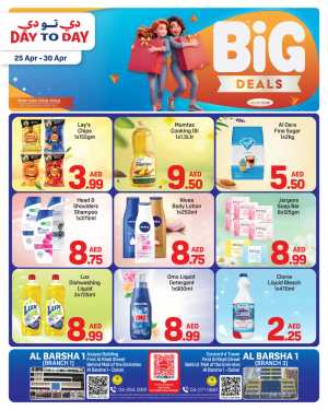 Day To Day Al Barsha - Big Deals UAE flyer cover