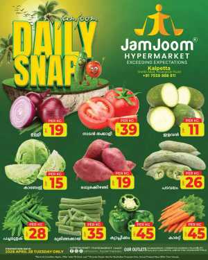 Daily snap flyer cover