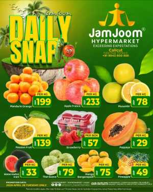 Daily Snap Deals flyer cover