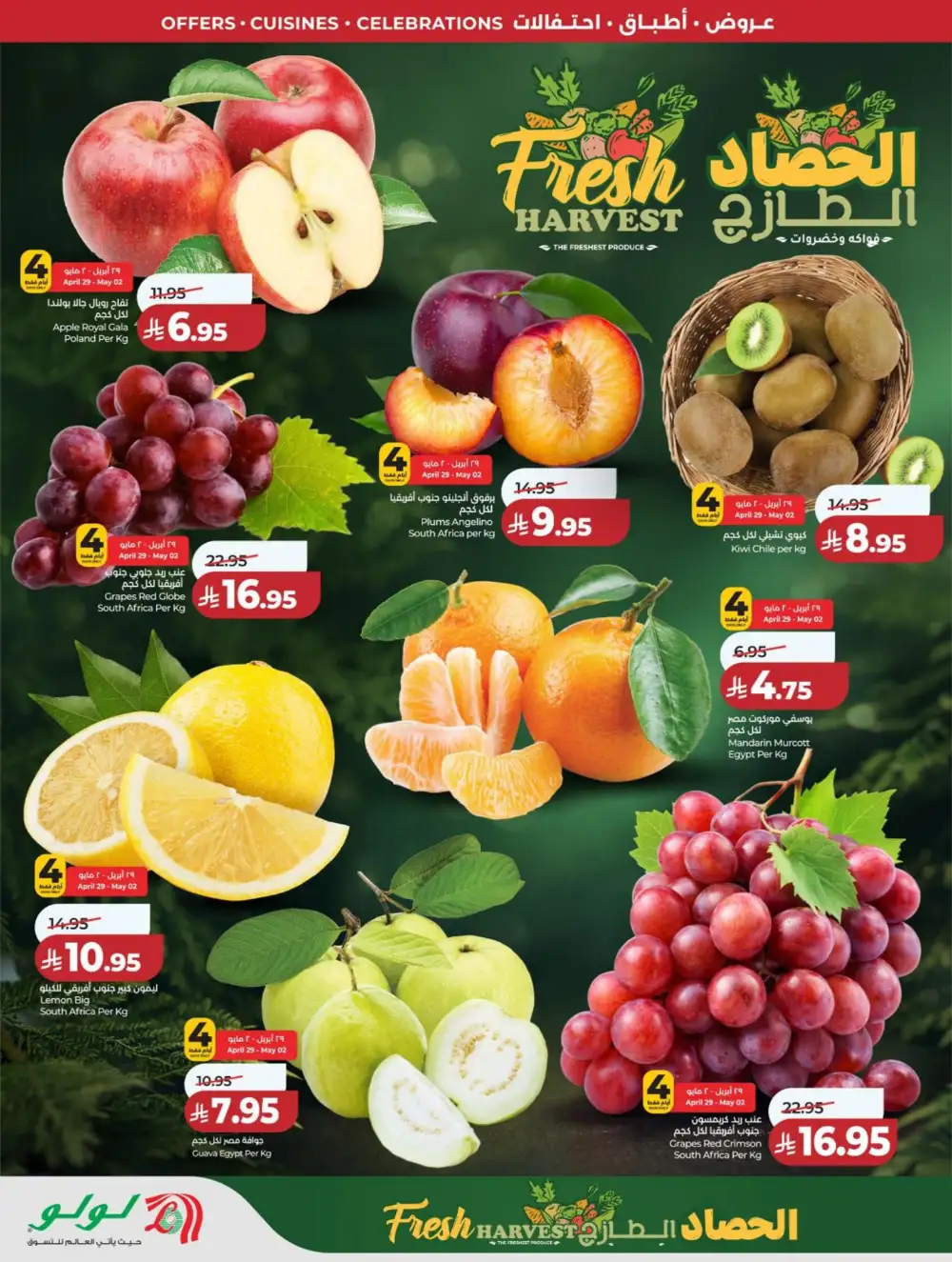 LuLu Riyadh | World Food Festival | Final Days Now! page 38