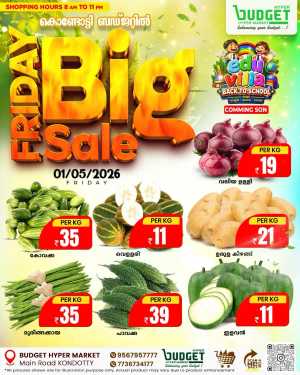 Friday big sale flyer cover