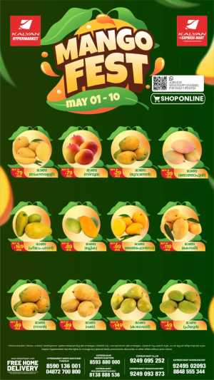 Mango fest flyer cover