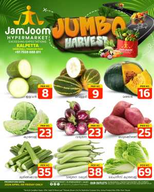 Jumbo Harvest flyer cover