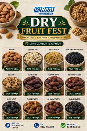 Dry fruit fest flyer cover
