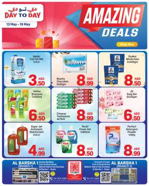 Day To Day Al Barsha Amazing Deals | May 2026 flyer cover