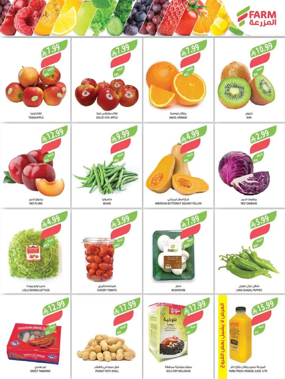 Farm Superstores KSA Weekly Offers | 48th Anniversary Deals | May 13 – 19, 2026 page 2