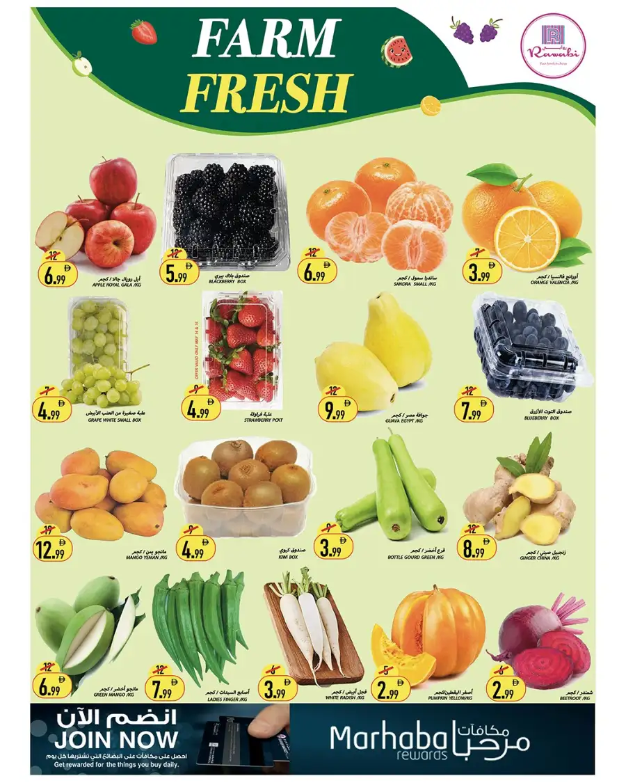 Rawabi Ajman Mega Deal: Special Offers page 3