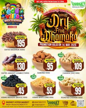 Dry Fruit Dhamaka flyer cover