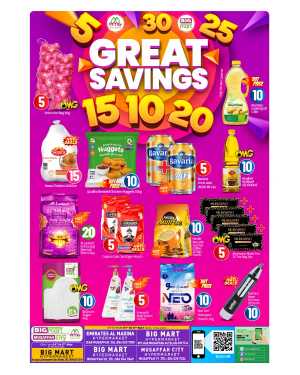 Big Mart Musaffah Great Savings: 5 to 30 AED Deals flyer cover