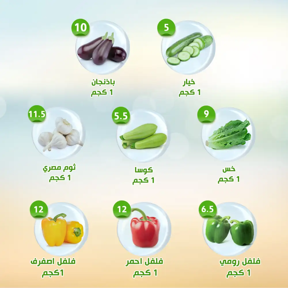 Al Nahda Al Misria Weekly Deals Up to 50% | May 2026 page 10