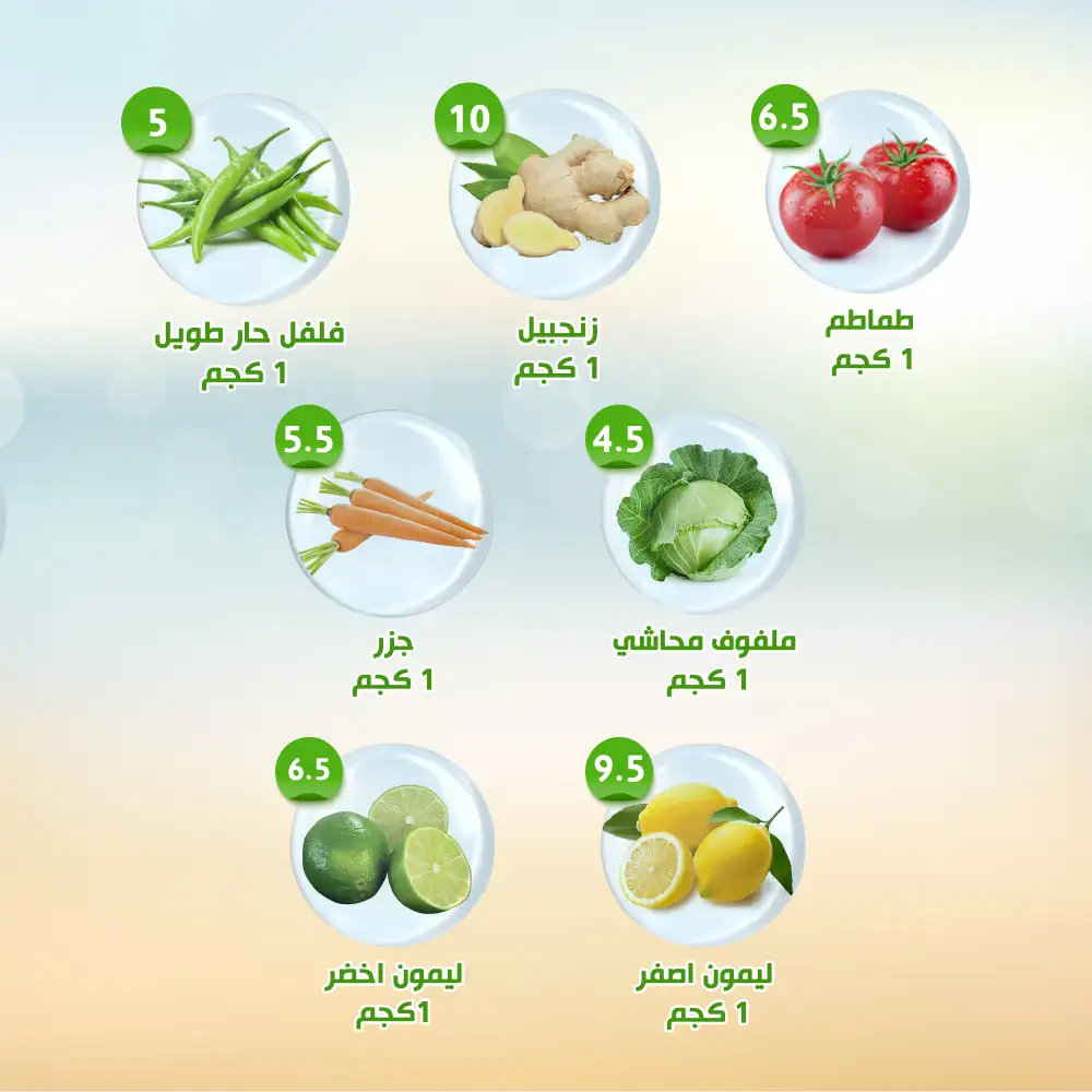 Al Nahda Al Misria Weekly Deals Up to 50% | May 2026 page 9