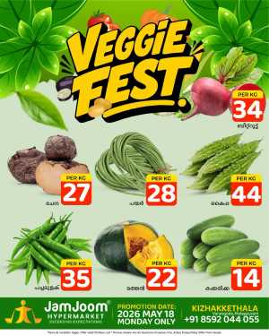 Veggies Fest flyer cover