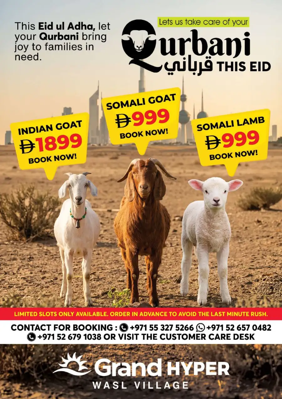 Grand Wasl Village Flying Deals: May 18-20 Offers page 12