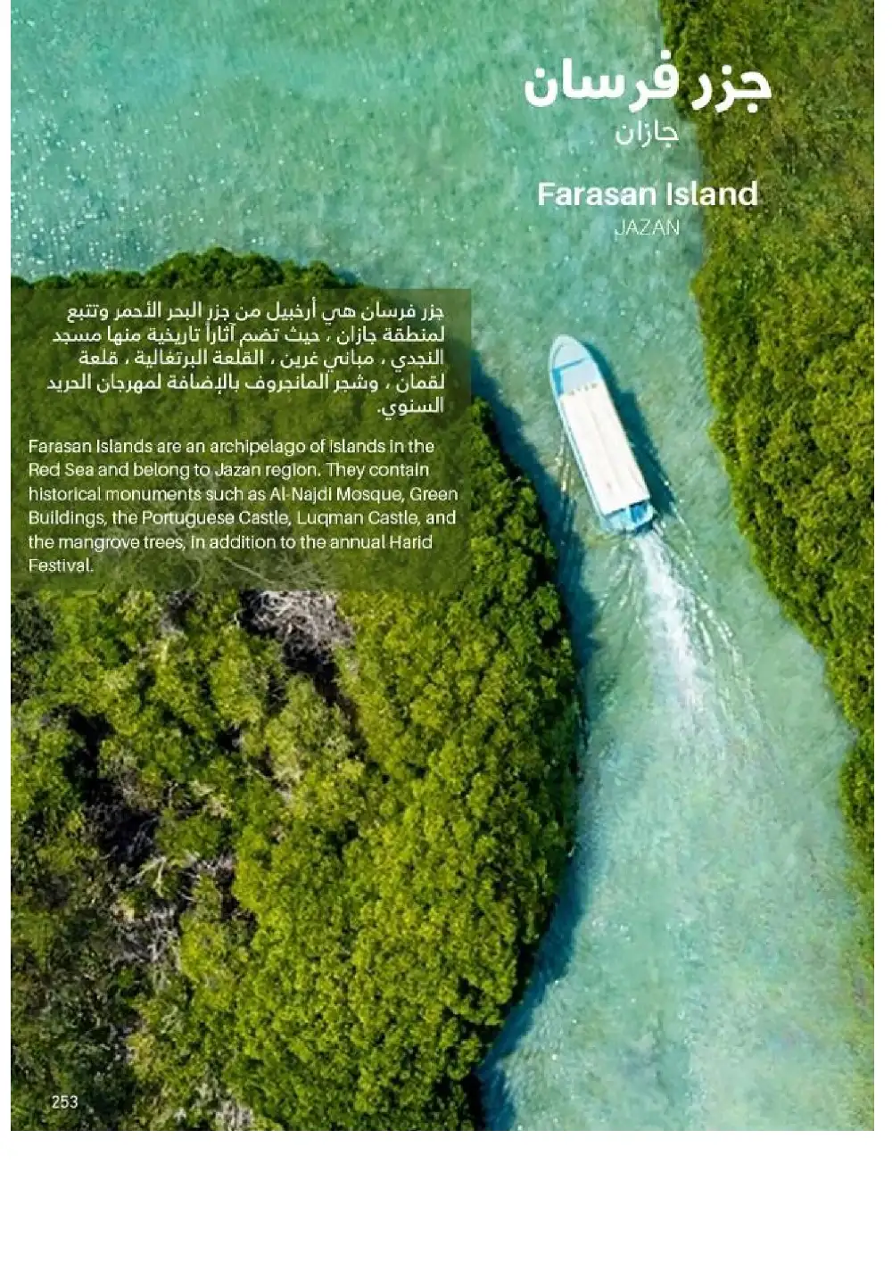 SACO Outdoor Furniture Catalogue 2026 Offers page 253