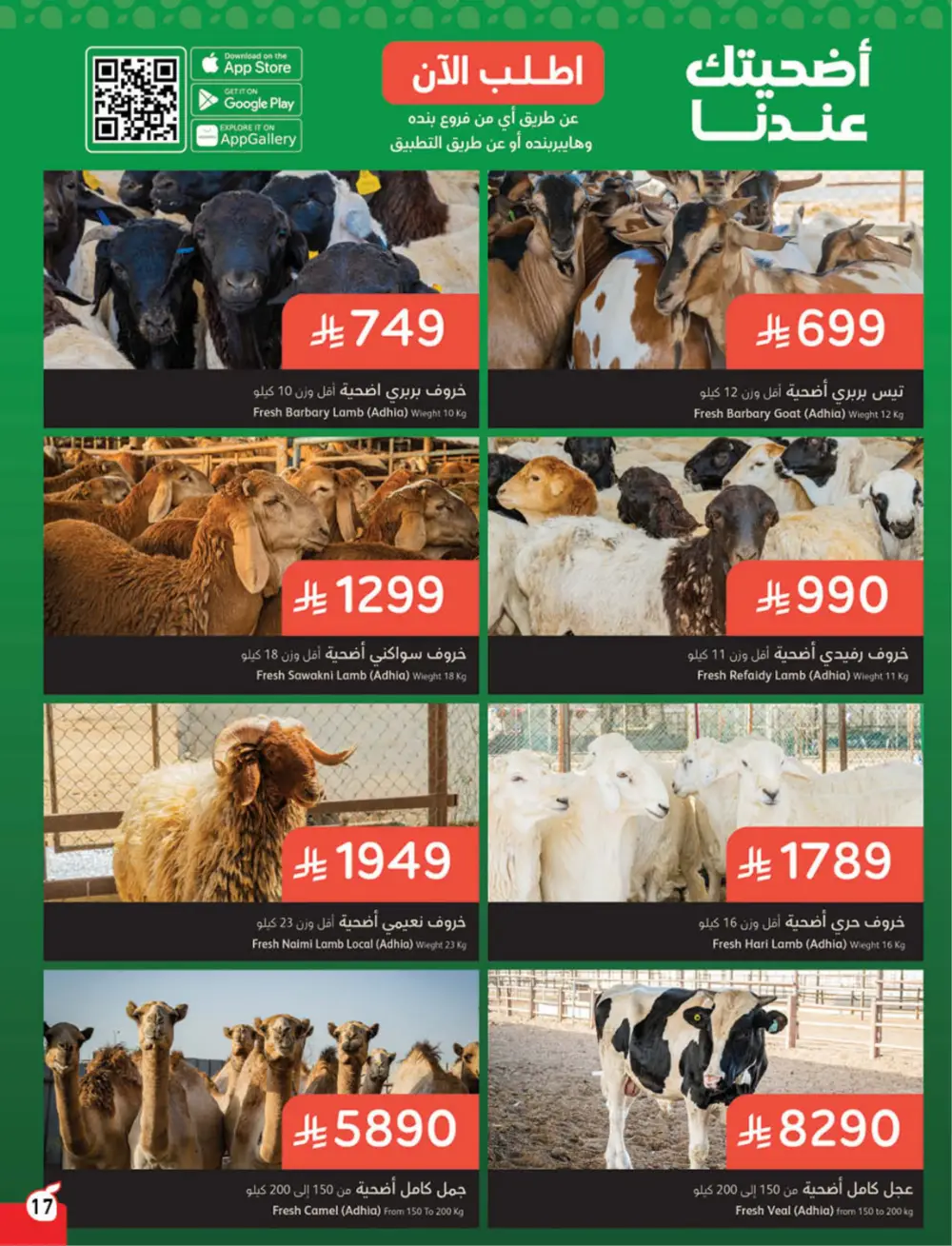 Panda Weekly Offers | Eid Deals May 2026 page 18
