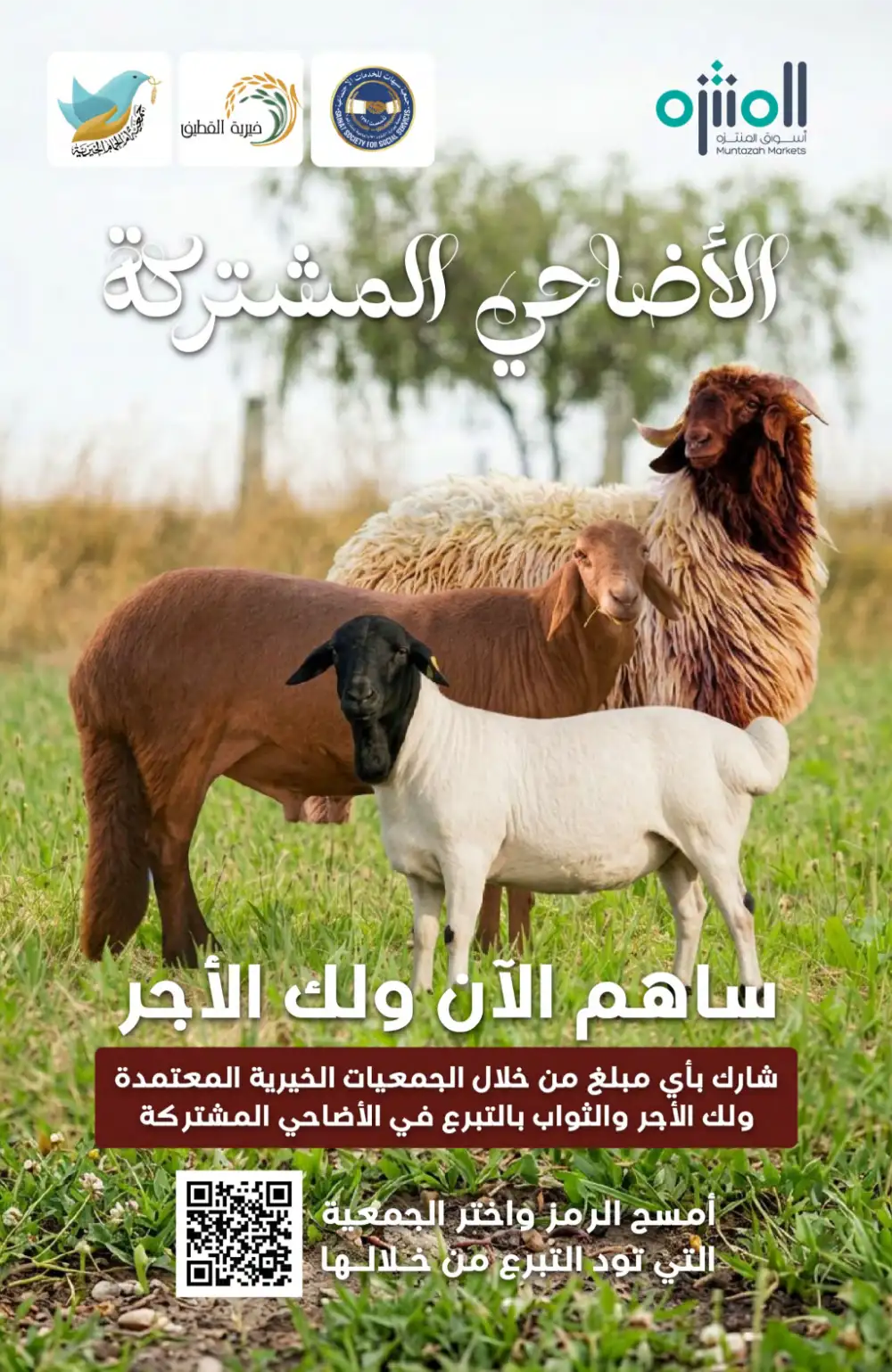 Muntazah Eid Offers | Weekly Deals 2026 page 11