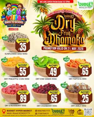 Dry fruit dhamaka flyer cover