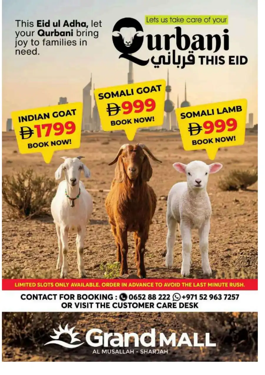 Grand Mall Al Musallah Offers | 21 - 24 May 2026 page 35