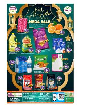 BIG Mart Eid Al Adha Mega Sale Flyer 2026 flyer cover