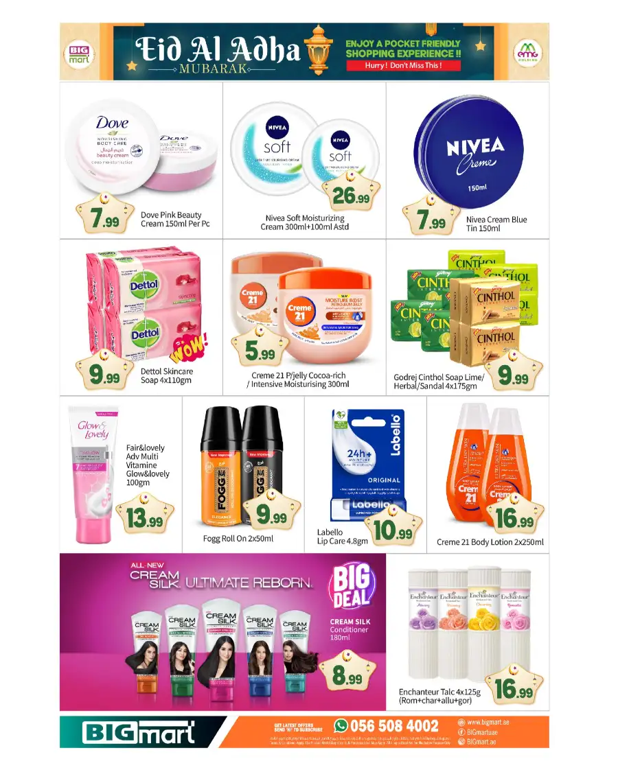 BIG Mart Eid Al Adha Mega Sale Flyer 2026 page 13