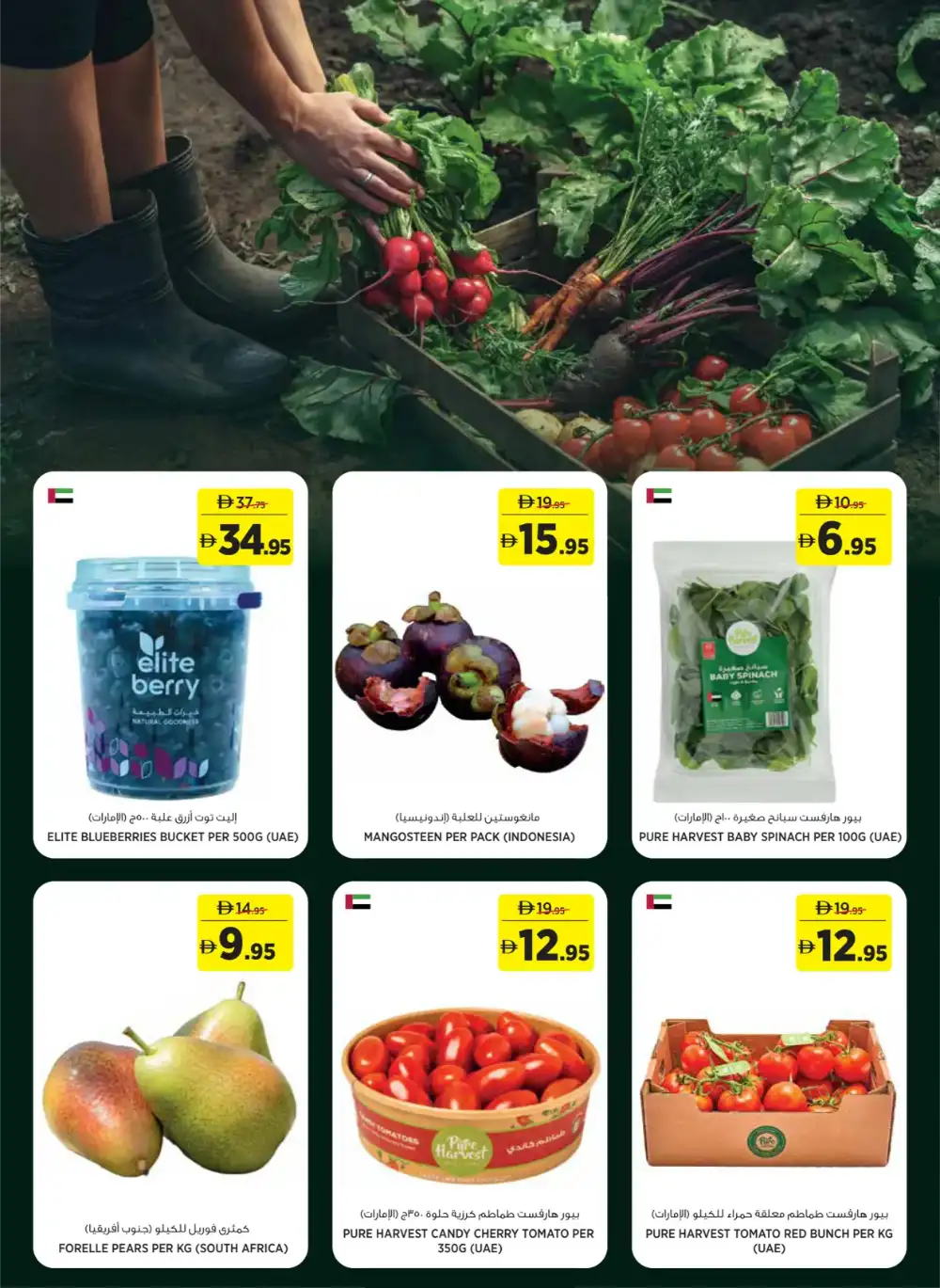 Geant Eid Collection Offers UAE 2026 page 2