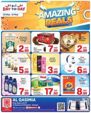 Day To Day Qasimia Amazing Deals flyer cover