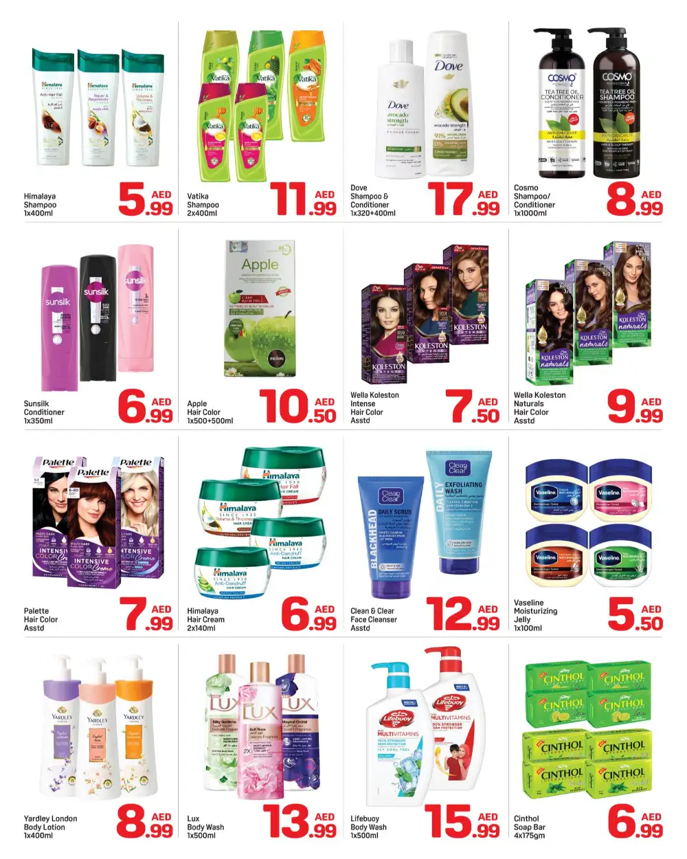 Day To Day Shop Now Save Big Offers 2026 page 4