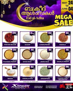 Eid Mega Sale flyer cover